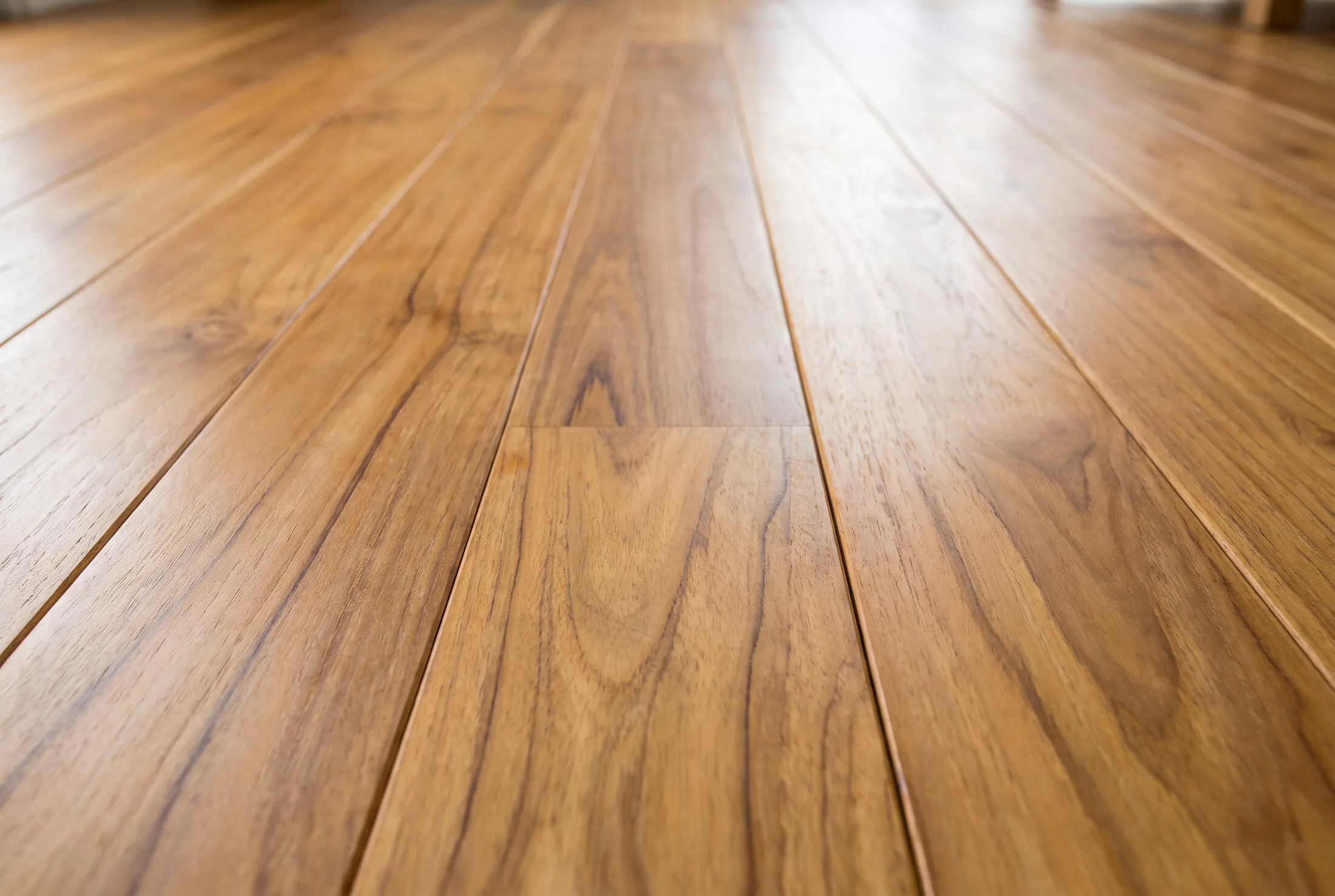 Close-up of solid hardwood flooring grain and finish